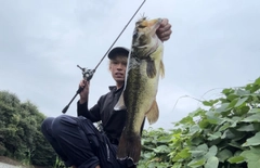 ラージマウスバスの釣果