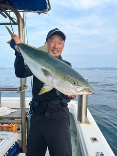 ブリの釣果