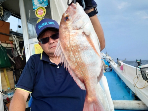 マダイの釣果