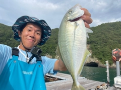 シマアジの釣果