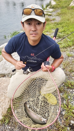 トラウトの釣果
