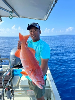 スジアラの釣果