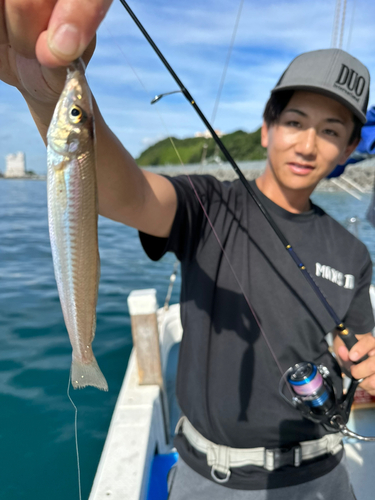 キスの釣果