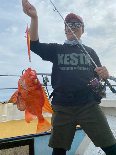 チカメキントキの釣果