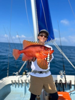 チカメキントキの釣果