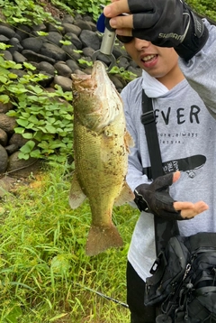 ブラックバスの釣果