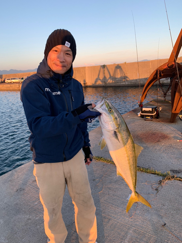 イナダの釣果