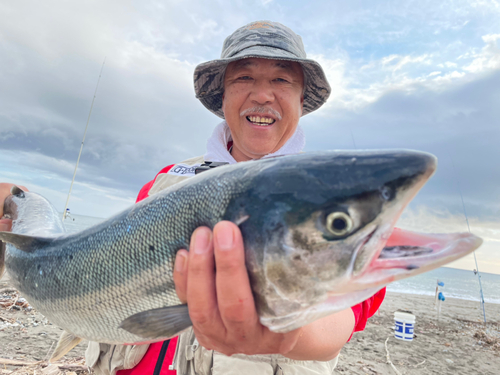 アキアジの釣果