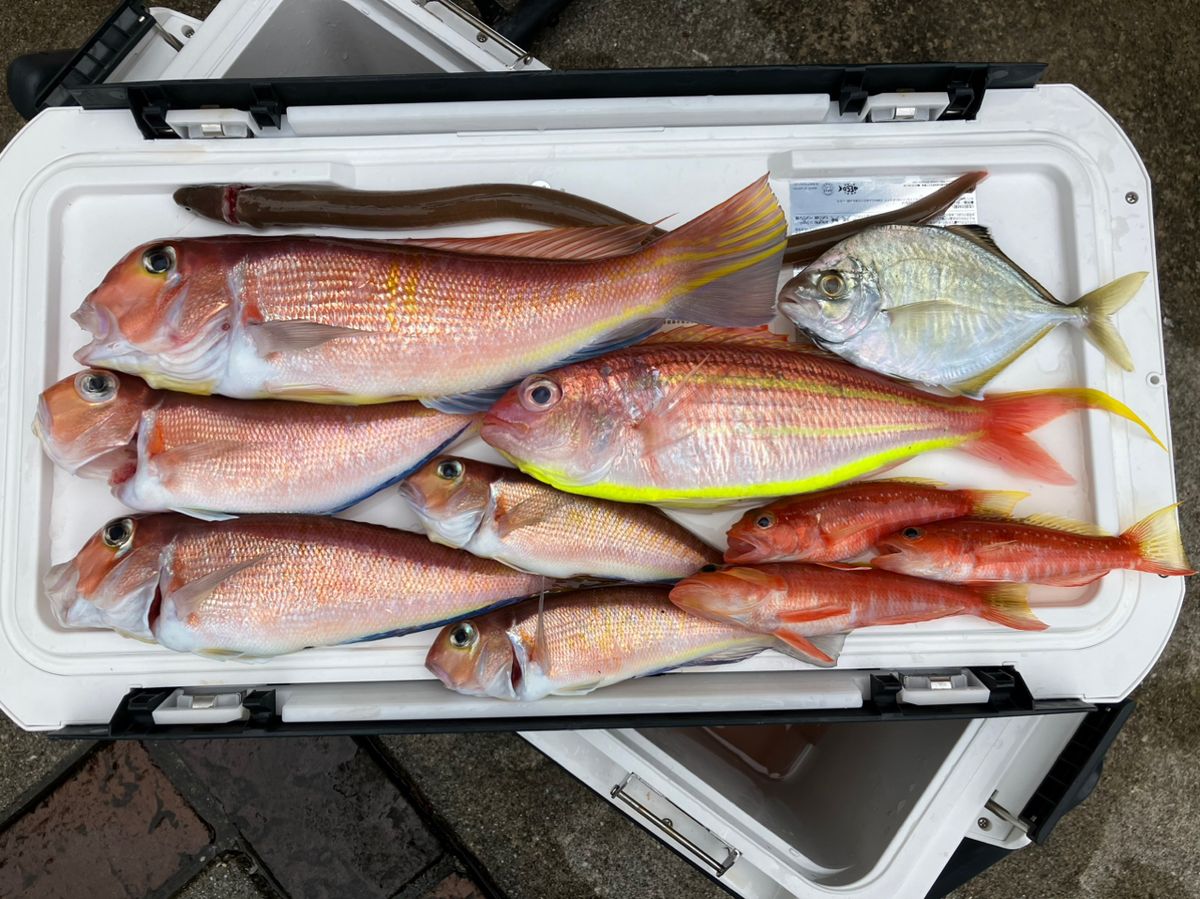 ルナパパさんの釣果 2枚目の画像