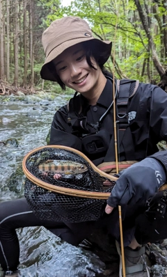 ヤマメの釣果