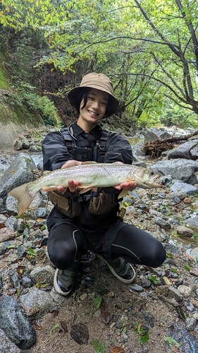 イワナの釣果