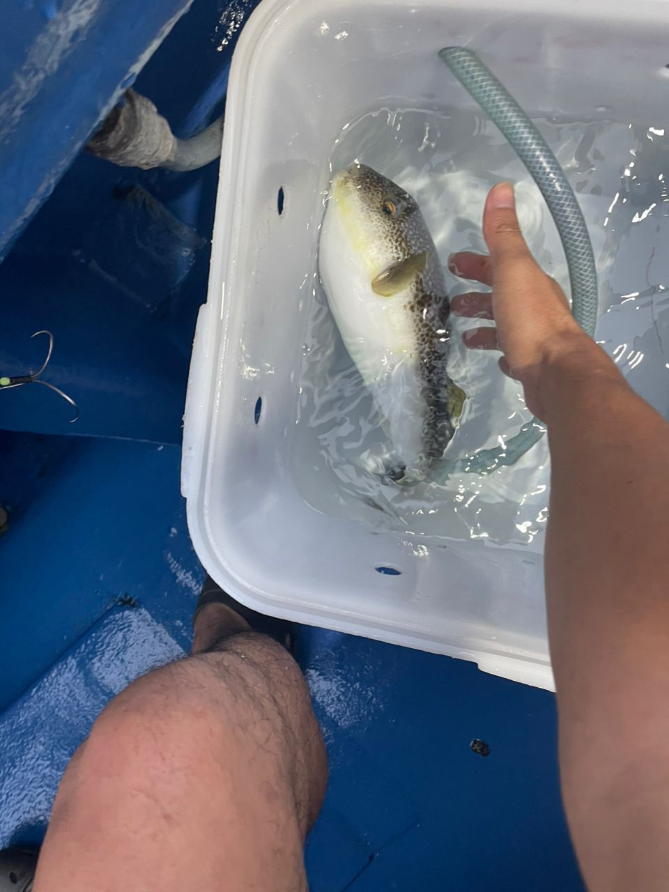 kouhe0110さんの釣果 2枚目の画像