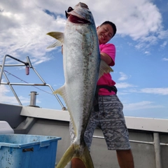 ヒラマサの釣果