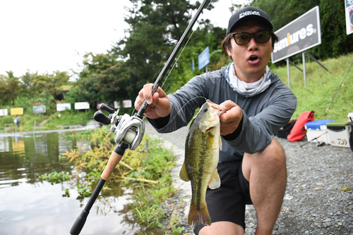 ブラックバスの釣果