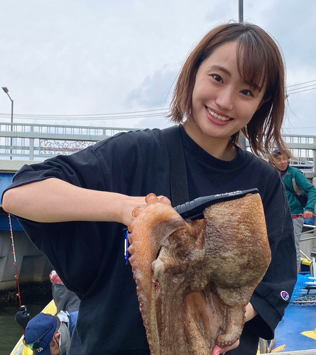 マダコの釣果