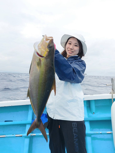 ヒレナガカンパチの釣果