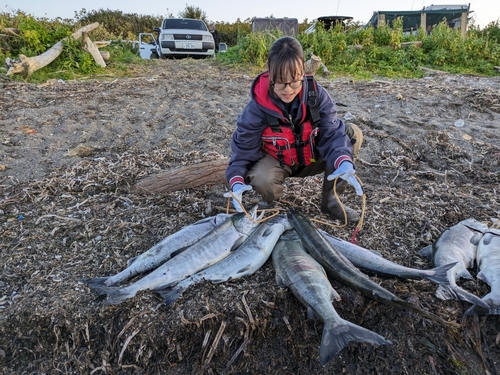 アキアジの釣果