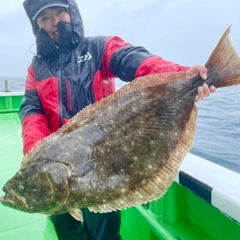 ヒラメの釣果