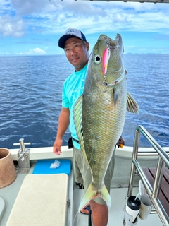 アオチビキの釣果