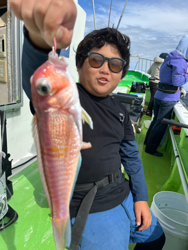 アマダイの釣果