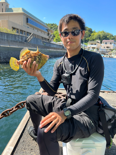 カワハギの釣果