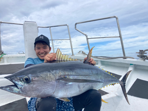 キハダマグロの釣果