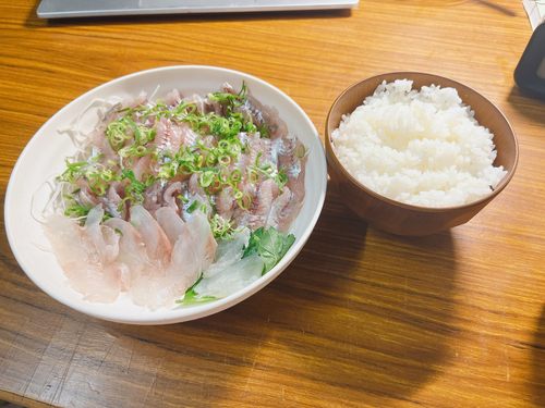 カワハギの釣果