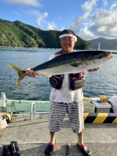 ブリの釣果