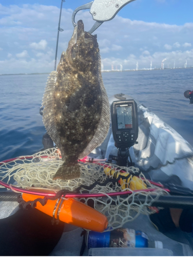 ソゲの釣果