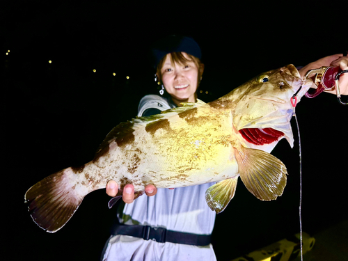 クエの釣果