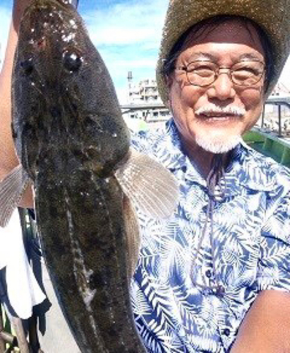 マゴチの釣果