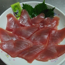 キハダマグロ