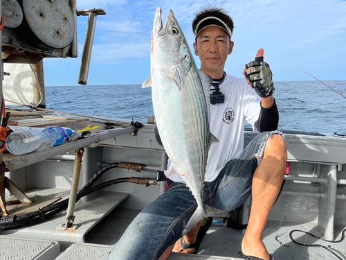 ハガツオの釣果