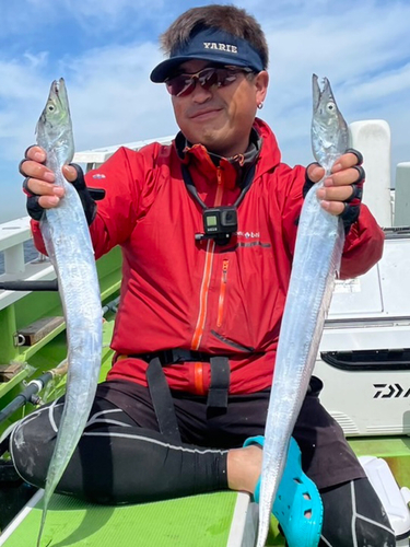 タチウオの釣果