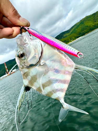 イトヒキアジの釣果