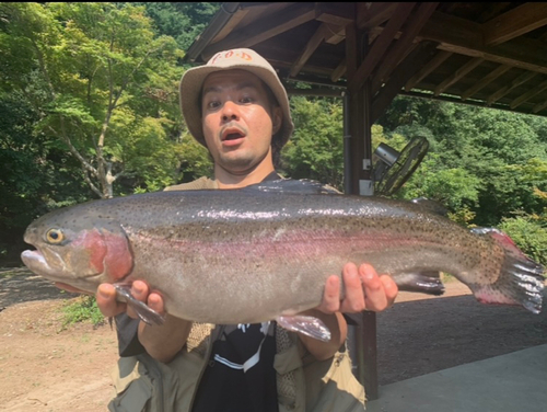 ニジマスの釣果