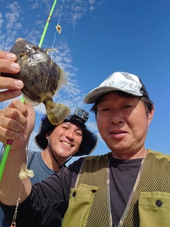 カワハギの釣果