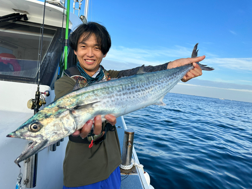 サワラの釣果