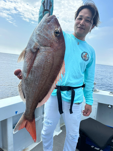 カツオの釣果