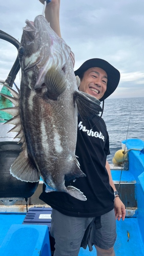 イシナギの釣果