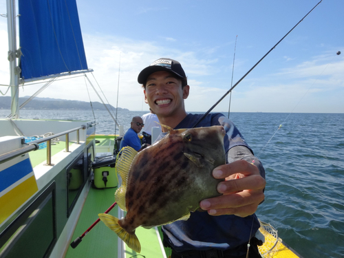 カワハギの釣果