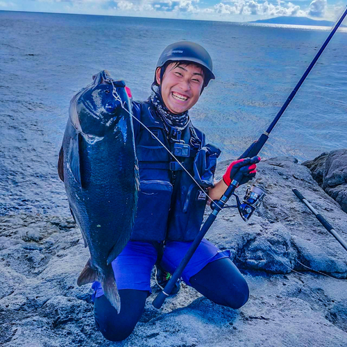 クチブトグレの釣果