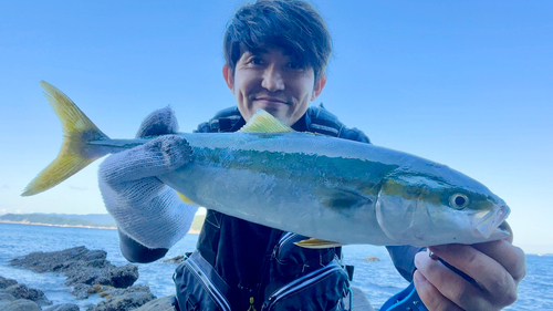 ツバスの釣果