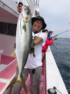 ヒラマサの釣果