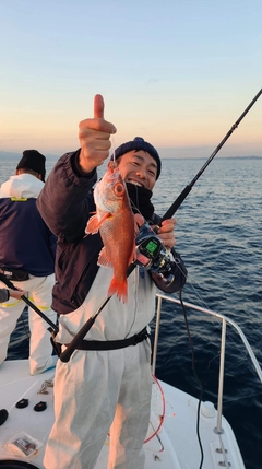 アカムツの釣果