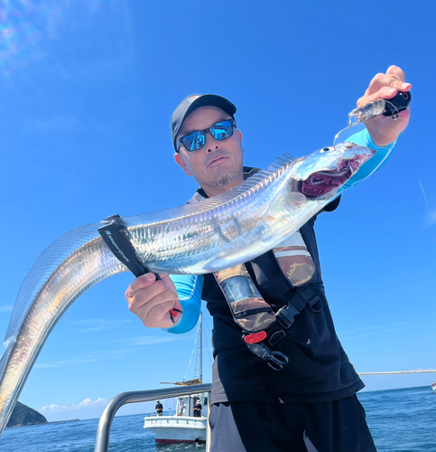 タチウオの釣果