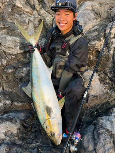 ヒラマサの釣果