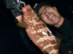 キジハタの釣果