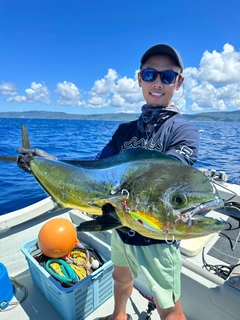 シイラの釣果