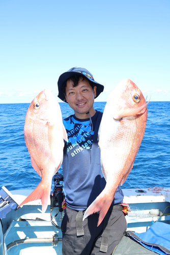 マダイの釣果